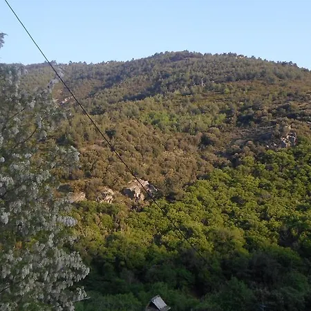 Pensiune To Valsamo *